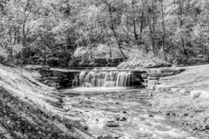 Ozarks Autumn Dogwood Waterfall Grayscale