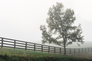 Ozarks Country Fog