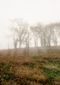 Nixa Missouri Foggy Morning Sun