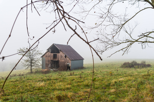 Foggy Nixa Barn