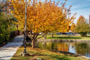 Fall Day At Schaible Lake Park