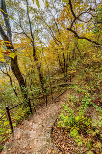 Rustic Woody Fall Hike