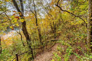Autumn Forest Downhill Hike