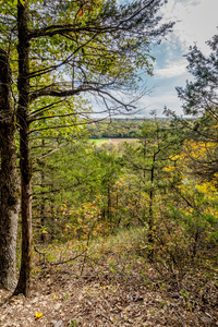 Lakeside Forest Wilderness Fall View