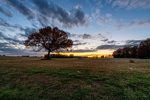 Farm Field Oak Tree Autumn Sunset