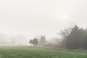 Peaceful Foggy Countryside