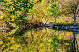 Reflection Ripples Ha Ha Tonka