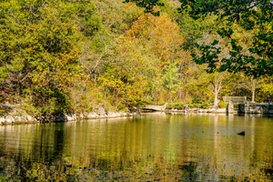 Fall Season Ha Ha Tonka Shoreline