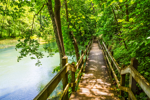 Ha Ha Tonka Tranquil Hike