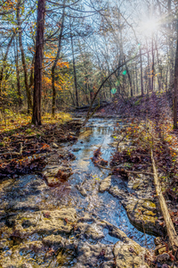 Sunrays Over Country Creek