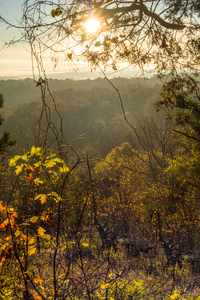 Good Autumn Morning Henning