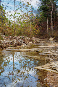 Roark Creek Fall Reflections