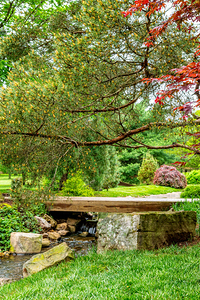 Spring Season Zen Garden