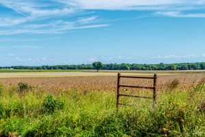 Lamar Missouri Corn Field Farm