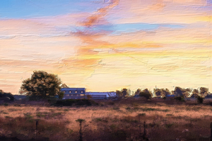 Farmers Morning Painterly