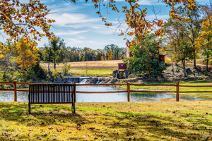 Dillard Bench View