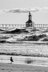 Birds And Waves At St Joseph Lighthouse Grayscale
