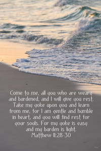 Florida Shoreline Foamy Waves