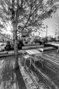 Omaha Autumn Seating Area Grayscale