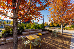 Omaha Riverfront Autumn Picnic Spot