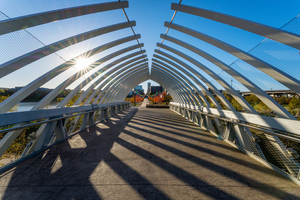 Farnam Pier Ribs Sunburst