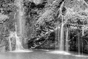Branches And Waterfalls Grayscale