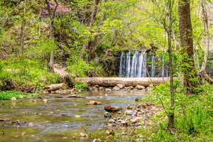 Waterfall Along Dripping Springs Branch