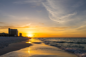 Pensacola Beach Flying Pelicans Sunrise