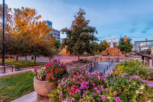 Flowers At Downtown Springfield Missouri 