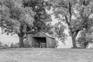 Old Ozarks Country Shed Grayscale