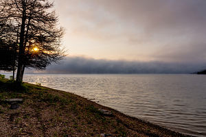 Foggy Morning Lake Shoreline
