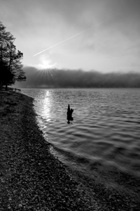 Mystical Hazy Morning Tree Snag Grayscale