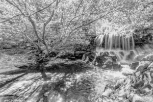 Tanyard Creek Waterfall To The Side Grayscale