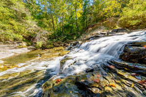 Tanyard Creek Cascading Falls