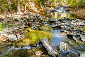Flowing Tanyard Creek