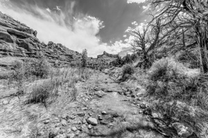Professor Creek Rimrock Valley View Grayscale