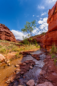Hike To Mary Jane Canyon Vertical