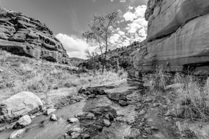 Hike To Mary Jane CanyonGrayscale
