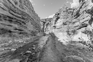 Mary Jane Canyon Red Rock Walls Grayscale