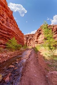Mary Jane Canyon Red Rock Walls Vertical