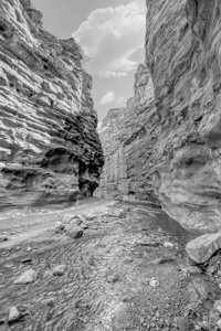 Mary Jane Canyon And Professor Creek Vertical