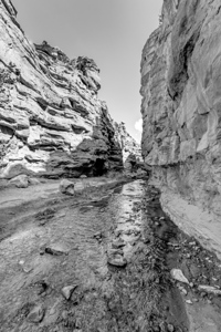 Mary Jane Slot Canyon Walls Vertical Grayscale