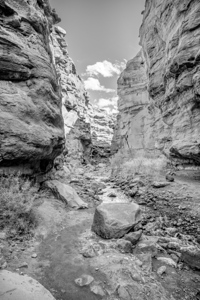 Between Mary Jane Canyon Walls Vertical Grayscale