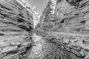 Creek Runs Through Mary Jane Canyon Grayscale