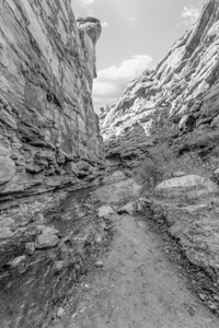 Mary Jane Canyon Shadows And Light Vertical Grayscale