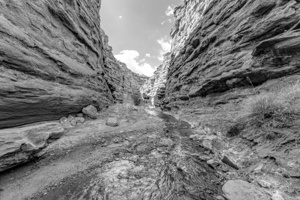 Mary Jane Canyon Walls Grayscale
