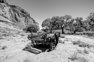 Old Wagon Fruita Utah Grayscale