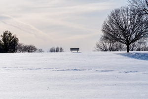 Quiet Winter Bench On Hill