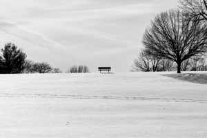 Quiet Winter Bench On Hill Grayscale