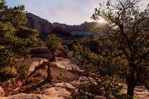 Capitol Reef Cedar Sunrays Sunrise